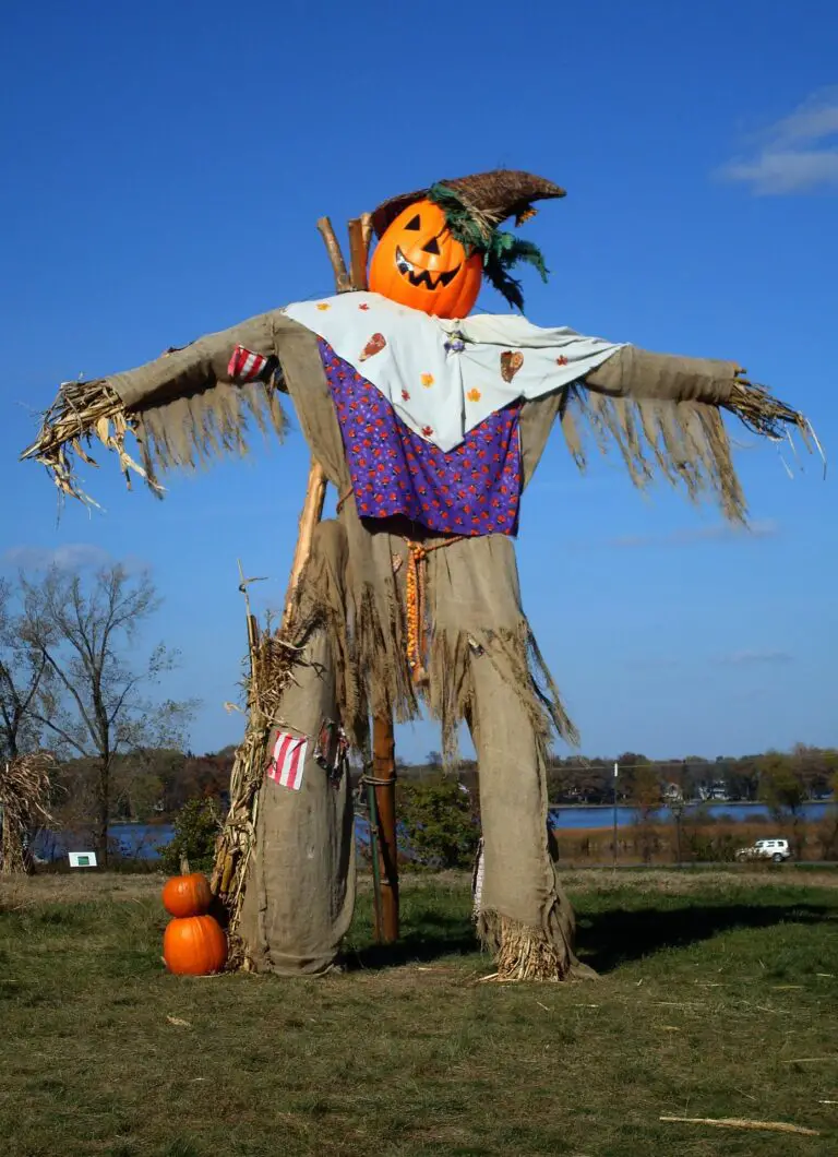 Fall Harvest Festivals in Kansas City to Enjoy